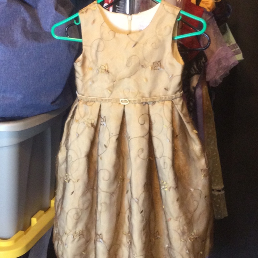Sweet heart rose , gold dress Sz 6